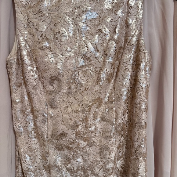 Alex Evenings Champagne Sequin Lace Chiffon Cape Sheath Dress size 6 - Picture 10 of 12